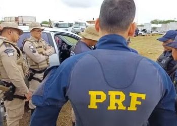 Paulo Afonso: PRF recupera 48 veículos e prende 10 pessoas durante operação deflagrada na BA, AL e PE