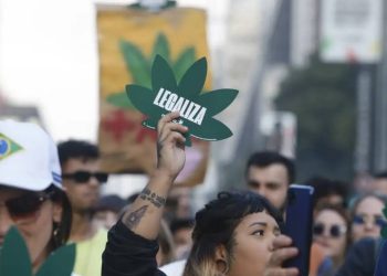 STF descriminaliza porte de maconha para uso pessoal