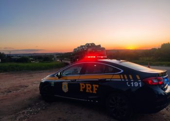 Polícia Rodoviária Federal recupera veículo clonado em operação na BR 116, trecho de Canudos (BA)