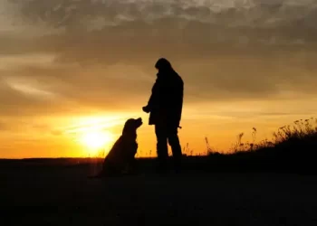 CRÔNICA – Um cachorro chamado Alemão (Francisco Nery Júnior)