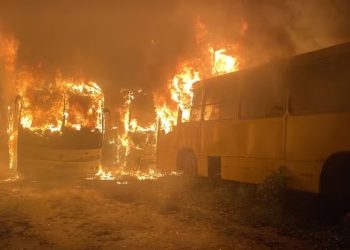 Amigos fumam maconha dentro de ônibus municipal na Bahia e bituca de cigarro causa incêndio em três veículos