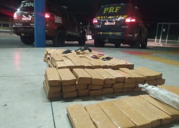 PRF e RONDESP apreendem quase 100 kg de drogas e arma durante operação em Paulo Afonso (BA)