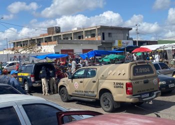 PRF participa de operação conjunta para desarticular comércio ilegal de animais silvestres na CEASA de Paulo Afonso (BA)