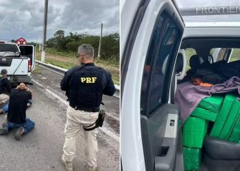 Quase meia tonelada de maconha que saiu de SP com destino a Paulo Afonso-BA é apreendida pela PRF