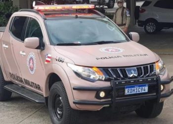 Policiais prendem homem por furto qualificado no BTN II, em Paulo Afonso