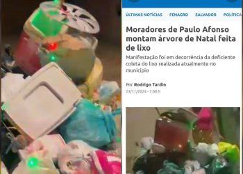“Árvore de Natal” feita de lixo em Paulo Afonso ganha destaque até na imprensa da capital