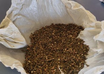 Policiais militares detêm homem com substâncias análogas à maconha em Paulo Afonso