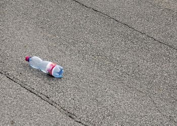 Um elogio frustrado (Francisco Nery Júnior)