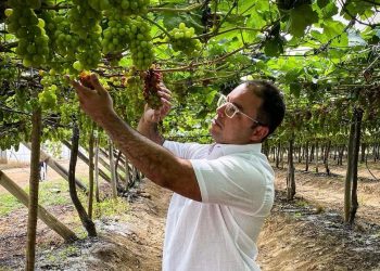 Novo prefeito, novas ideias – O ímpeto para a nova administração (Francisco Nery Júnior)