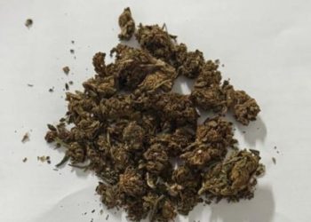 PM detém homem por posse de drogas nas proximidades do condomínio Josefino Teixeira, em Paulo Afonso