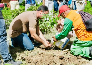 Educação ambiental – Prefeitura planta árvores (por Francisco Nery Júnior)