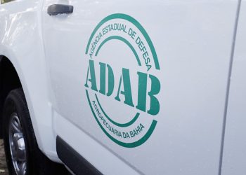 Governo do Estado lança edital com 241 vagas na ADAB para municípios como Paulo Afonso, Glória e Abaré; salário de R$ 2.806,56