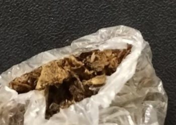 Abordagem policial no Siriema resulta na apreensão de substância análoga à maconha