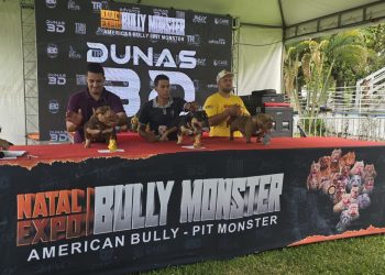 Criador de Paulo Afonso é destaque em competição nacional de cães