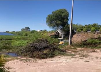 Retomada da limpeza do Balneário Prainha: gestão de Galinho reinicia retirada das baronesas em parceria com a Chesf