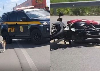 Grave acidente entre caminhão e motocicleta deixa mulher morta na BR-110, em Paulo Afonso