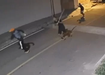 Homem é brutalmente agredido durante tentativa de homicídio em Delmiro Gouveia na noite de Páscoa