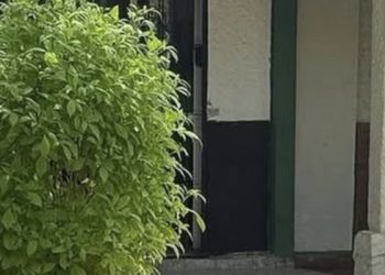 Ameaça, veneno e desespero: pai e filho vão parar na delegacia em Paulo Afonso