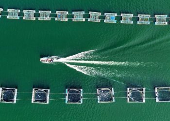 Piscicultor de Glória-BA conquista segundo lugar em premiação nacional de fotografia da aquicultura