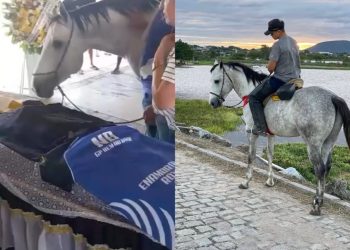 Paulo Afonso: Velório de Andrey Rener tem despedida comovente entre o jovem e seu cavalo