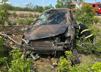 Rascunho automático