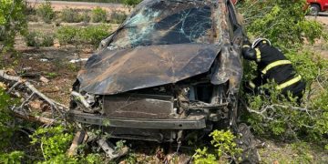 Rascunho automático