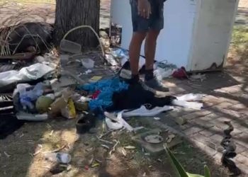 Barraca do Galego do Coco é removida da Praça do Touro e a Sucuri; Prefeitura explica decisão