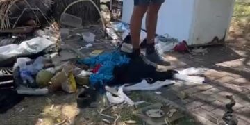 Barraca do Galego do Coco é removida da Praça do Touro e a Sucuri; Prefeitura explica decisão