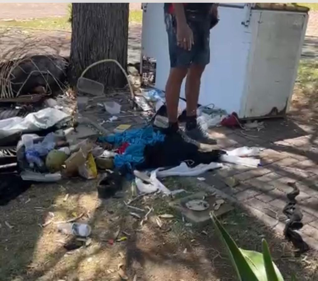 c6bb2a4a-b542-40fe-b1d0-756966928f2d c6bb2a4a-b542-40fe-b1d0-756966928f2d